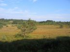 lachaud2