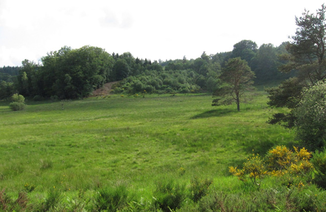 tl_files/cen_limousin/contenus/Images/Actualites/2018/11-novembre/prairie.jpg