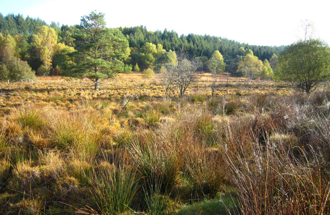 tl_files/cen_limousin/contenus/Images/Actualites/2019/11_novembre/VIEN_20171013_parc boivert (4).jpg