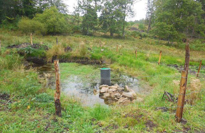 tl_files/cen_limousin/contenus/Images/Actualites/2019/11_novembre/prise_eau.jpg