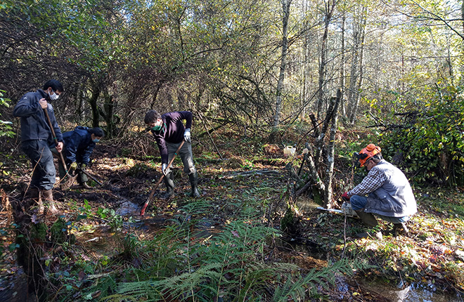 tl_files/cen_limousin/contenus/Images/Actualites/2020/11-novembre/chantier_tressage.jpg