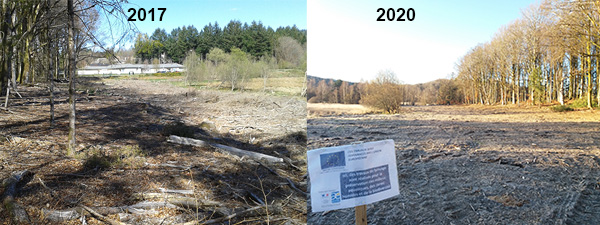 tl_files/cen_limousin/contenus/Images/Actualites/2020/12-decembre/2.jpg
